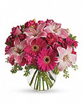 Valentine Day Gerbera  and Lily Vase